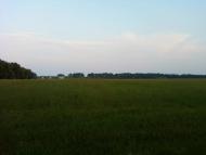 Рівнинне з panoramio.com