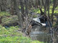 Ясенівський з panoramio.com