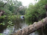 Маячка - Останні фото