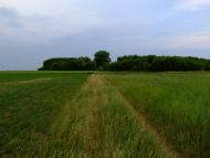 Мале з panoramio.com