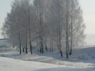 Собичеве з panoramio.com