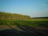 Рибчинці з panoramio.com