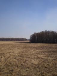 Радецька Болярка з panoramio.com