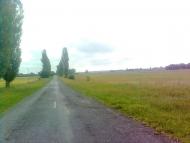 Серкізів з panoramio.com