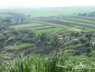 Діброва - Останні фото