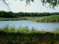 Козацьке з panoramio.com