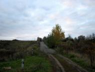 Гриценкове з panoramio.com