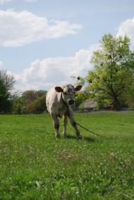 Ждани з panoramio.com