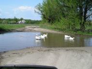 Зачепилівка з panoramio.com