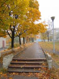 Червоний Донець з panoramio.com - Червоный Донец