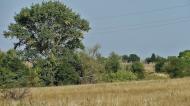 Цупки з panoramio.com - Цупки