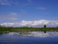 Гатна з panoramio.com