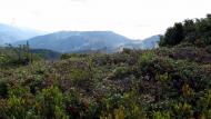 Бребоя з panoramio.com - Бребоя