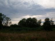 Велика Калинка з panoramio.com