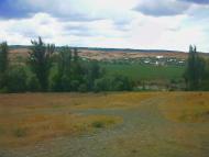 Стальне з panoramio.com