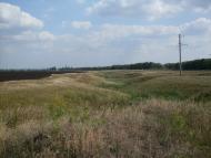 Зимівники з panoramio.com