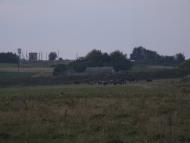 Нараїв з panoramio.com