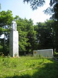 Поліське з panoramio.com