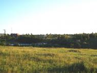 Очеретине з panoramio.com