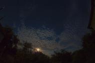 Червоний Донець з panoramio.com - Червоный Донец