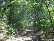 Леніна Друге з panoramio.com