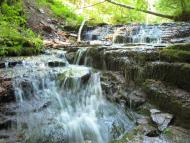 Скоморохи з panoramio.com