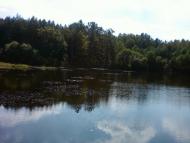 Мізяківська Слобідка з panoramio.com