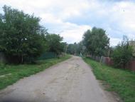 Петрушин з panoramio.com