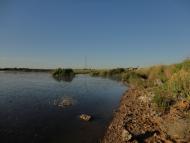 Лиманне з panoramio.com