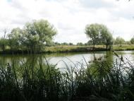 Івашківка з panoramio.com