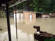 Новоселиця з panoramio.com