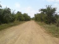 Широке з panoramio.com - Широкое