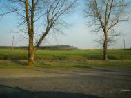 Рибчинці з panoramio.com