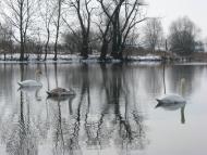 Лідава з panoramio.com