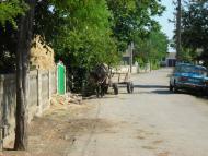 Комишівка з panoramio.com