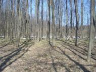 Новий Майдан з panoramio.com