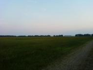 Рівнинне з panoramio.com