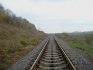 Кузьминчик з panoramio.com