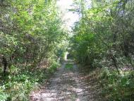 Яреськи з panoramio.com