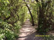 Сонячне з panoramio.com