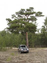 Карабинівка з panoramio.com