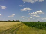 Садове з panoramio.com