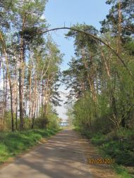 Обмачів з panoramio.com