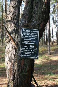 Андріївка з panoramio.com