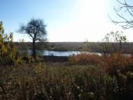 Журавлинка з panoramio.com