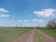 Червоний Орлик - Останні фото