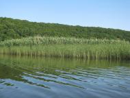 Вільшанське з panoramio.com