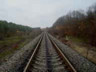 Вільхівчик з panoramio.com