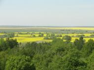 Веселе з panoramio.com