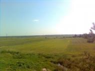 Серкізів з panoramio.com